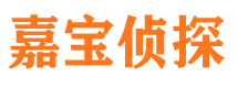 佛坪调查事务所